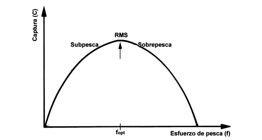 Esquema tomado y modificado de: https://pereoliver.com/que-es-la-sobrepesca/  